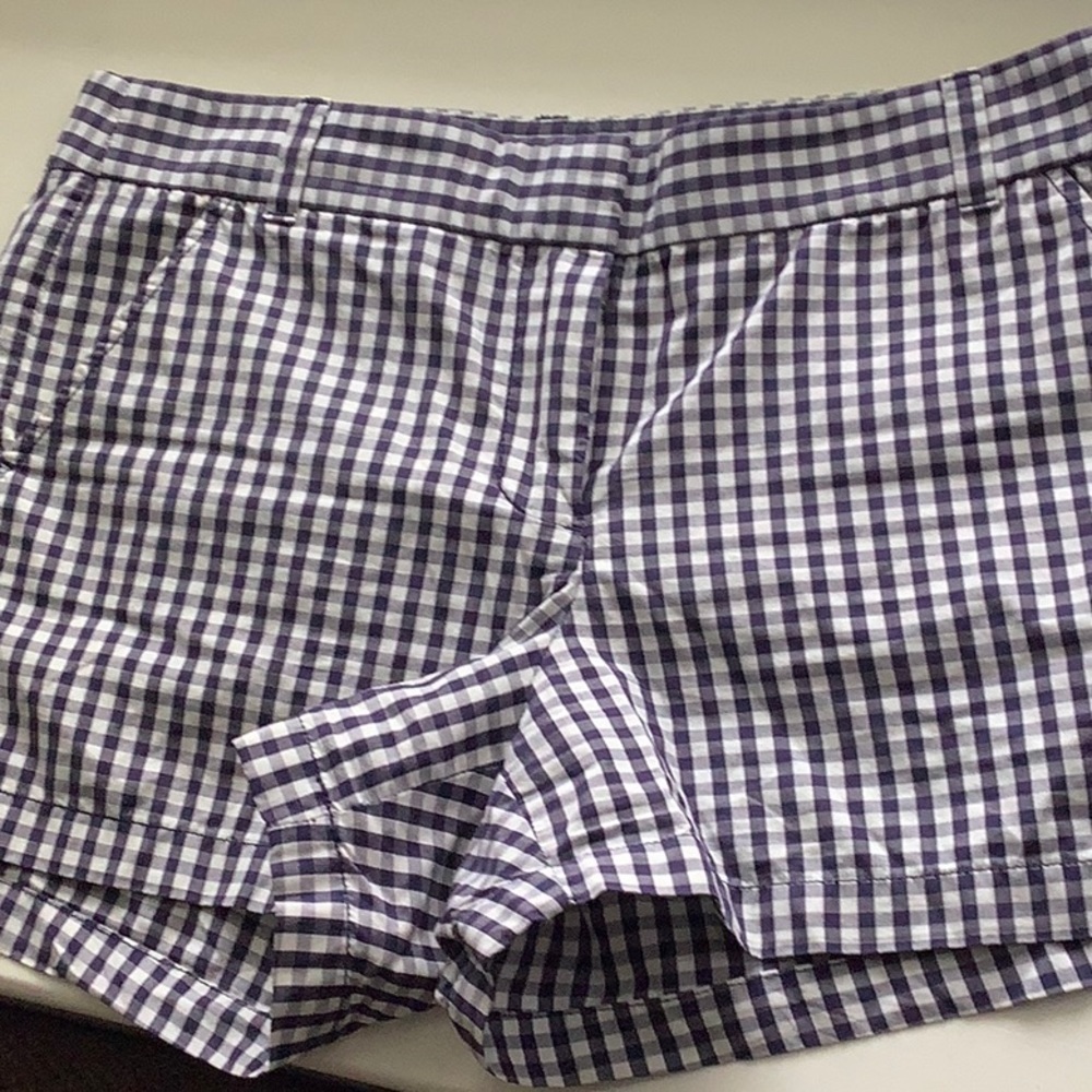 J. Crew - Blue Gingham Shorts - 10